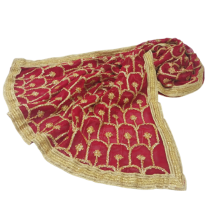 Fancy Dupatta with 4 side lace for dholki and mehndi function